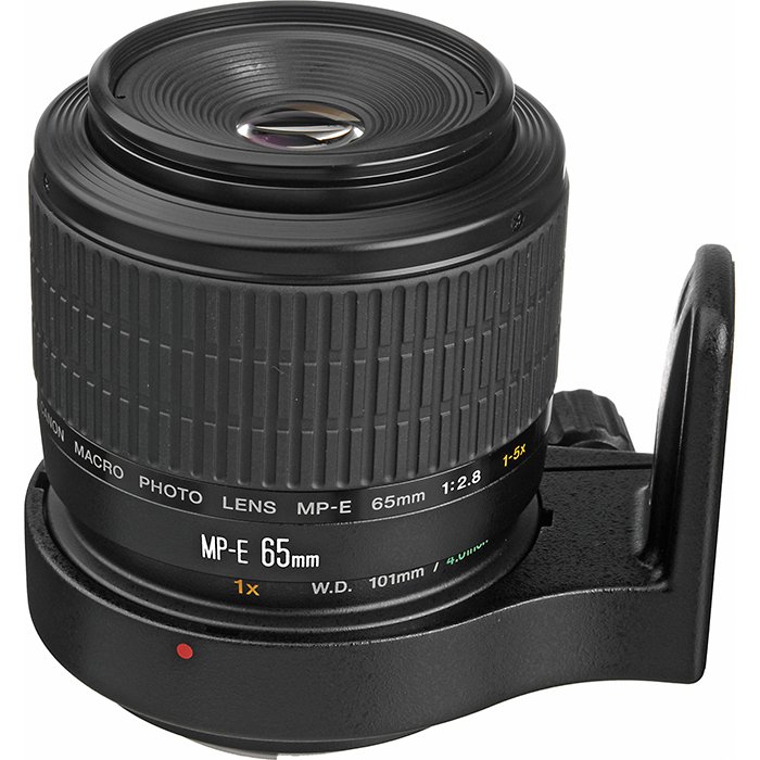 Imagen de un objetivo macro Canon EF MP-E 65 mm f/2,8 1-5x