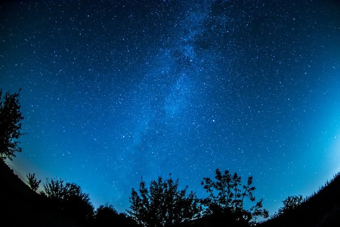Impresionante cielo estrellado sobre siluetas de árboles