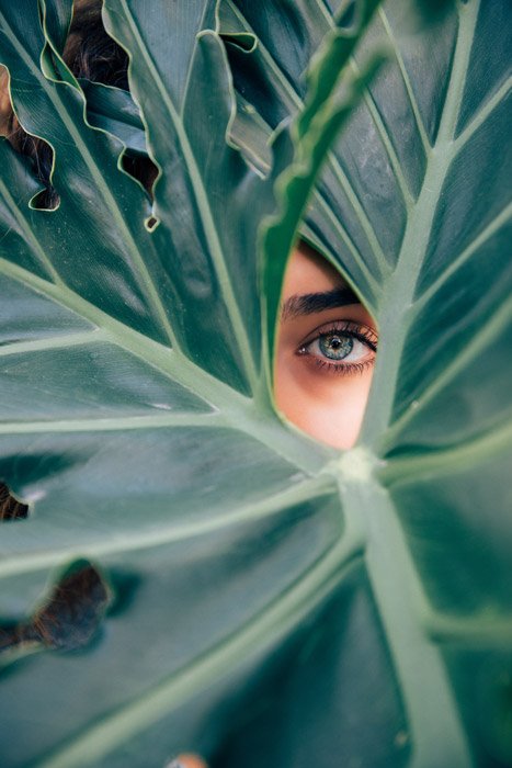 El ojo de una modelo femenina mirando a través de un hueco en una gran hoja verde - principios de arte y diseño en fotografía