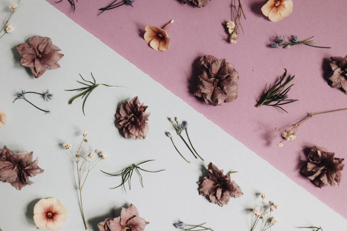 Una fotografía de bodegones de flores que demuestra los principios del diseño en la fotografía.