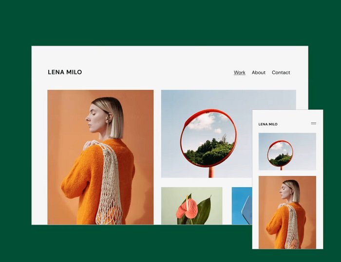 Captura de pantalla de Elementor Portfolio, un creador de sitios web para fotógrafos