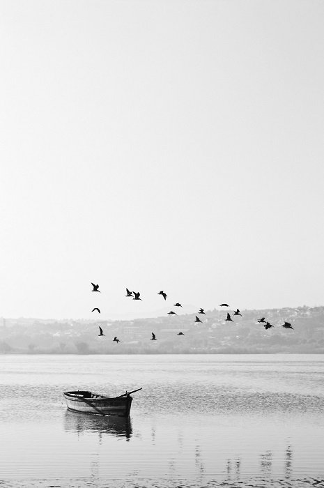 foto de películas en blanco y negro de un barco con pájaros volando por encima