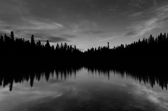 fotografía en blanco y negro de un río bordeado por árboles con simetría horizontal y vertical