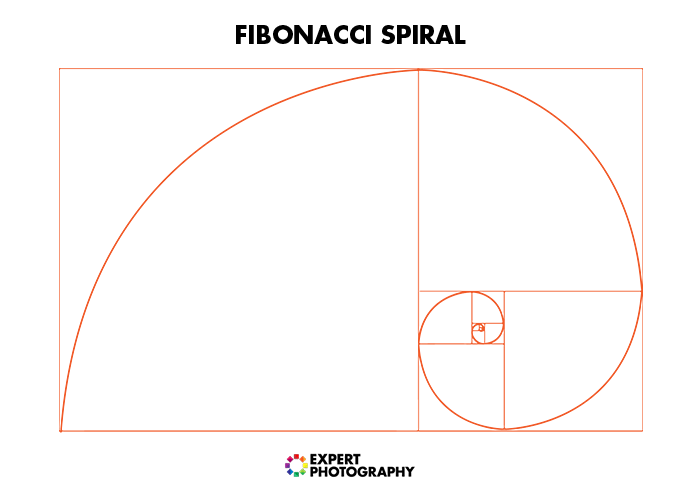 un diagrama de la espiral de fibonacci para la composición de fotografías de alimentos