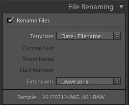 captura de pantalla que muestra cómo importar fotos a Lightroom - cambio de nombre de archivo