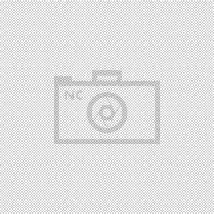 Logotipo de marca de agua con opacidad reducida en un 30%