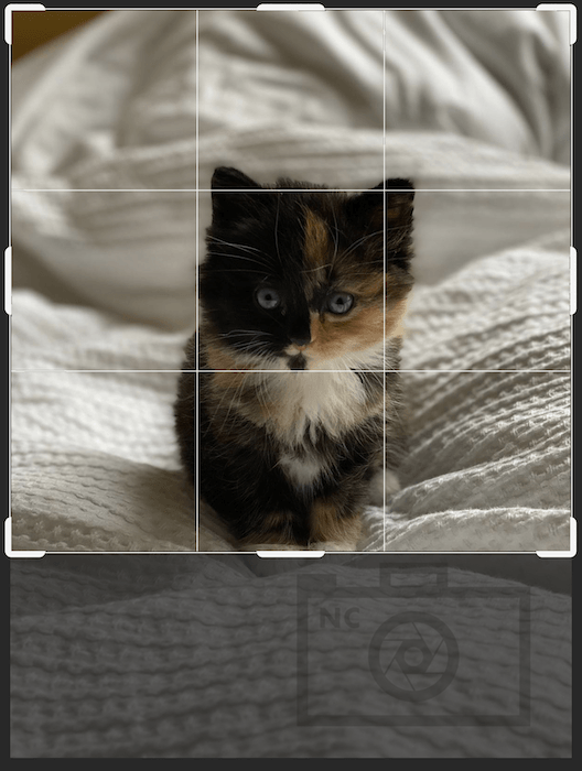 Ejemplo de cómo se podría recortar una marca de agua