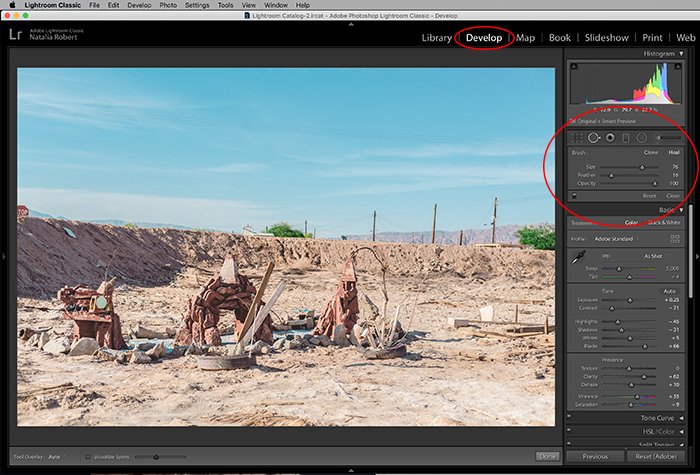 Una captura de pantalla que muestra dónde encontrar la herramienta de eliminación de manchas en Lightroom