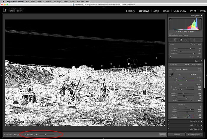 Una captura de pantalla que muestra cómo usar la herramienta de eliminación de manchas en Lightroom