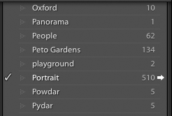 Ejemplo de panel de lista de palabras clave en Adobe Lightroom