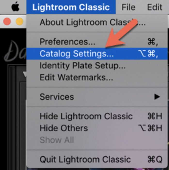 Captura de pantalla del catálogo de Lightroom