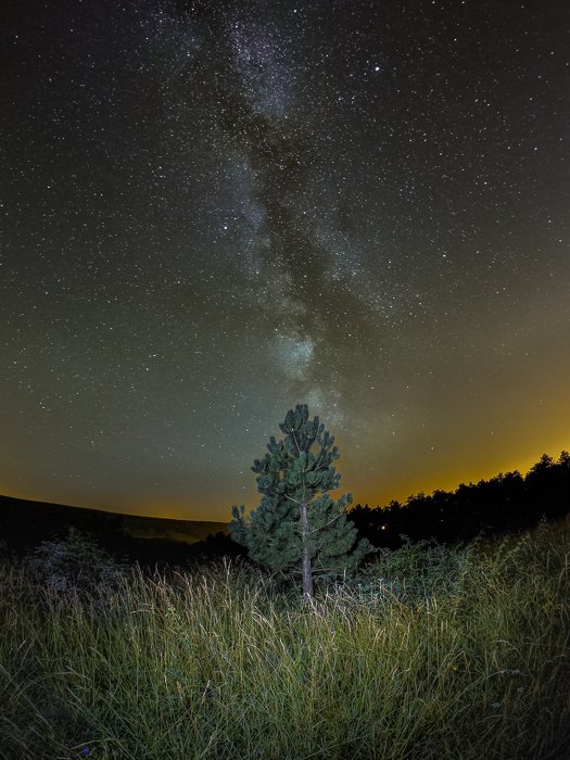 Otra fotografía mundana del cielo nocturno de un árbol en el centro de un paisaje de hierba, cielo estrellado y senderos de estrellas arriba