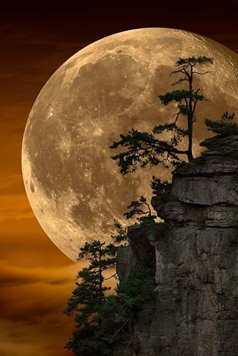 foto de una gran luna detrás de un acantilado con árboles