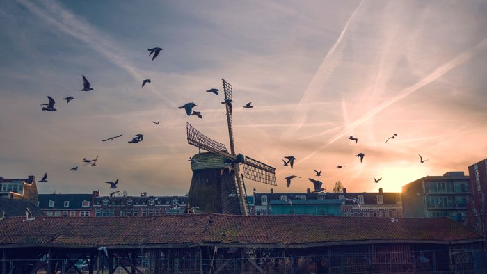 Pájaros volando sobre los tejados de De Gooyer, fotos de Ámsterdam