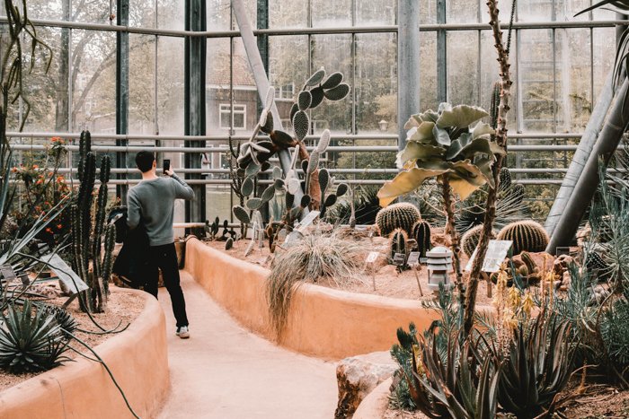 Interior de Hortus Botanicus, el principal jardín botánico de Ámsterdam.