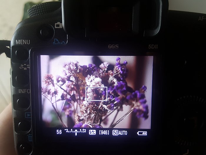 Un primer plano de una cámara DSLR disparando una flor con el modo de prioridad de apertura