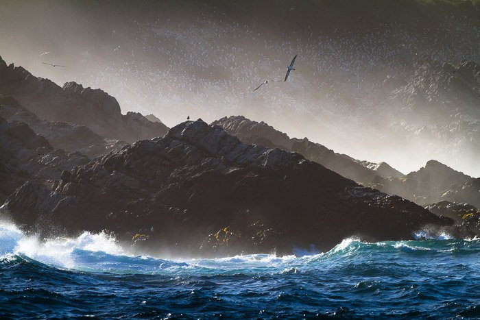 Genial imagen de una bandada de gaviotas en vuelo sobre rocas y olas