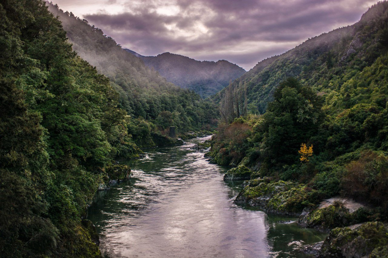 tiro nocturno de buller gorge, nueva zelanda - lugares de paisajes geniales