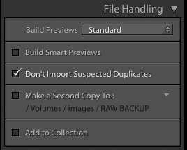 Importación de fotografías en Lightroom: el panel Gestión de archivos