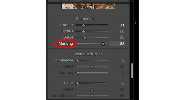Una captura de pantalla del control deslizante de enmascaramiento en Lightroom