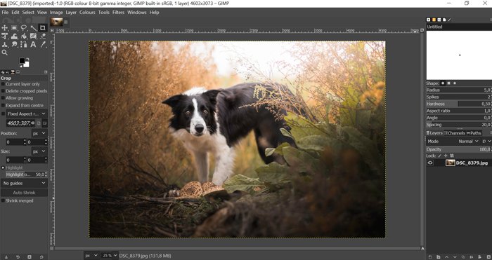 Captura de pantalla del espacio de trabajo de GIMP