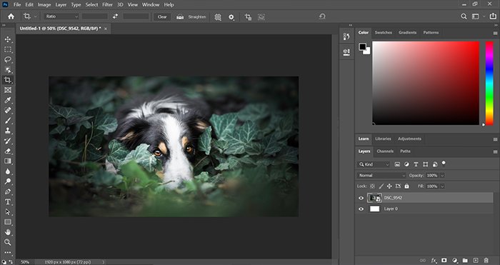 Captura de pantalla de la herramienta de color en Photoshop