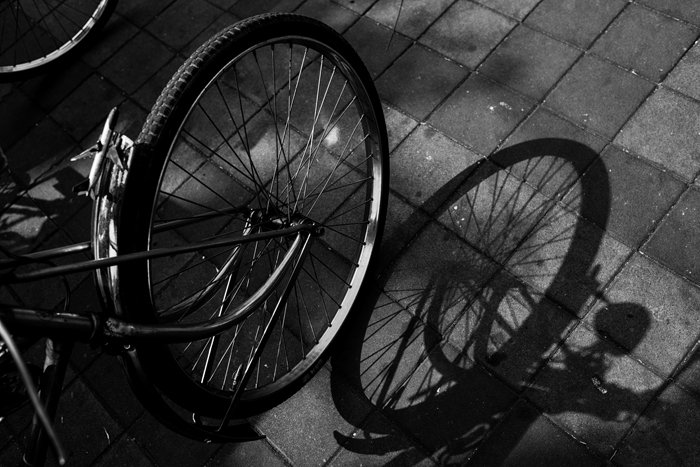 una foto en blanco y negro de una rueda de bicicleta y su sombra