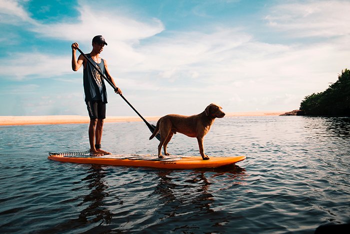 Impresionante foto de un hombre remando en una canoa con un perro a bordo: retratos de estilo de vida