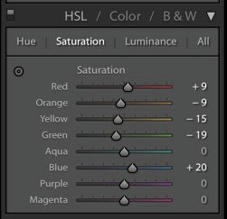Controles deslizantes de saturaciones de Lightroom Food Photography