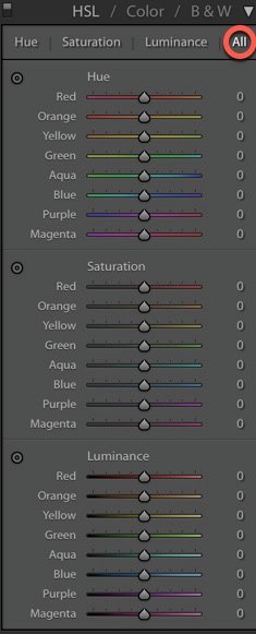Captura de pantalla de la interfaz de Lightroom con conmutadores