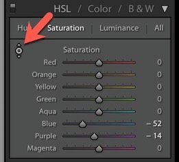 Captura de la interfaz de Adobe Lightroom editando un primer plano de una persona sosteniendo un plato de ensalada.