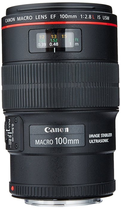una lente macro estándar de canon