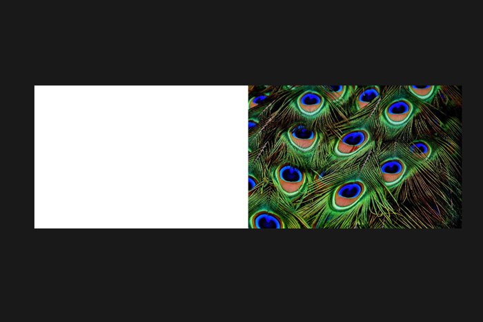 Captura de pantalla de cómo reflejar una imagen en Photoshop
