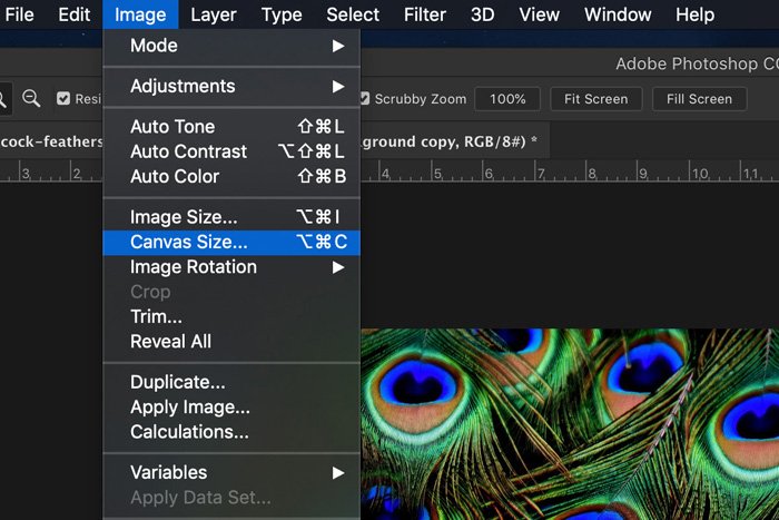 Captura de pantalla de cómo reflejar una imagen en Photoshop