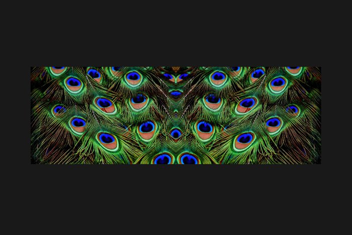 Captura de pantalla de la imagen reflejada en Photoshop