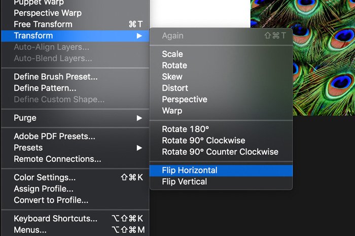 Captura de pantalla de cómo reflejar una imagen en Photoshop