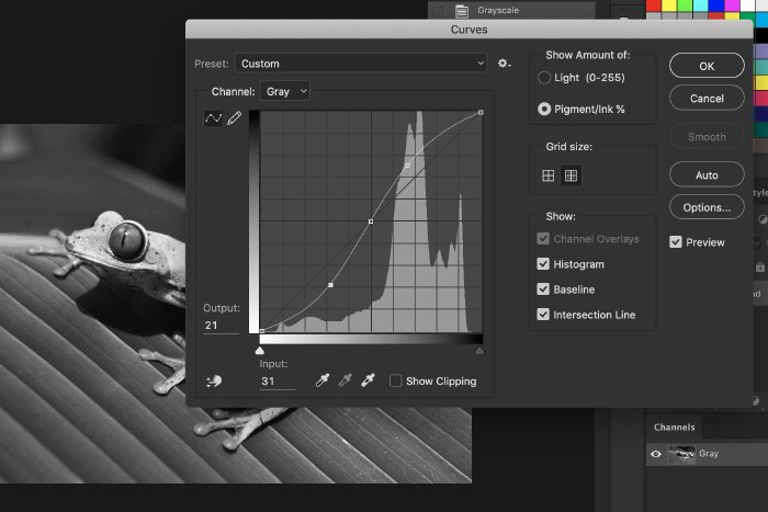 Una captura de pantalla de cómo convertir una imagen a blanco y negro en Photoshop