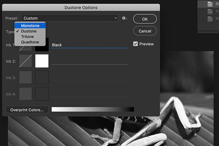 Una captura de pantalla de cómo convertir una imagen a blanco y negro en Photoshop
