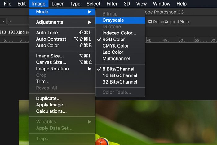 Una captura de pantalla de cómo convertir una imagen a blanco y negro en Photoshop