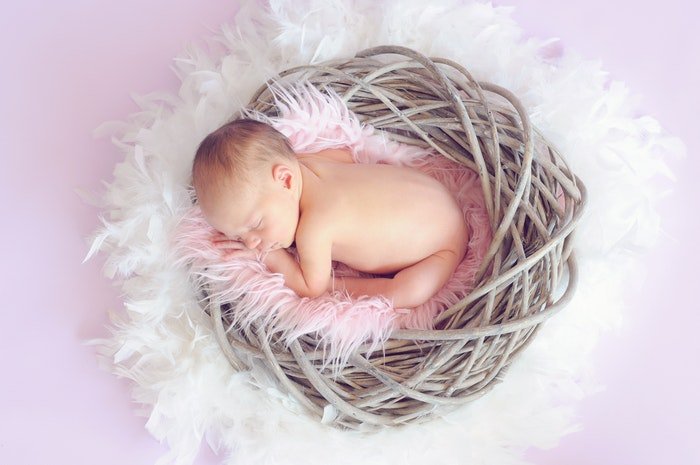 Foto de un bebé en un nido con plumas.