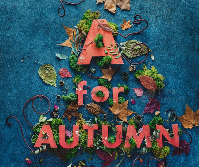 alternativas creativas de fondo fotográfico: letras rojas rodeadas de flores y hojas contra un fondo azul verde azulado