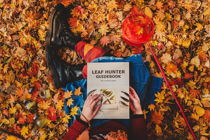 vista desde arriba.  niña sentada en un montón de hojas de naranja caídas en otoño, una red de mariposas rojas a su lado, sosteniendo un libro: Guía de cazadores de hojas