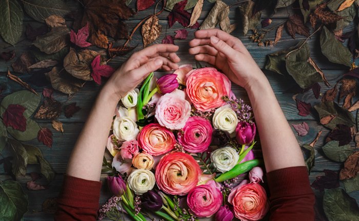 brazos acariciando un ramo de flores de colores brillantes en una mesa de madera como una alternativa creativa de fondo fotográfico