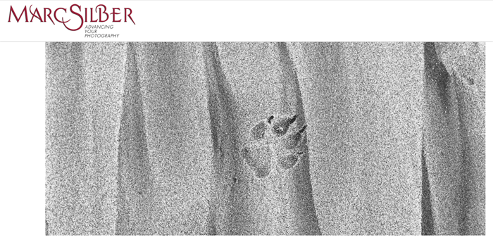 Captura de pantalla de la página de inicio del blog de fotografía de Marc Silber