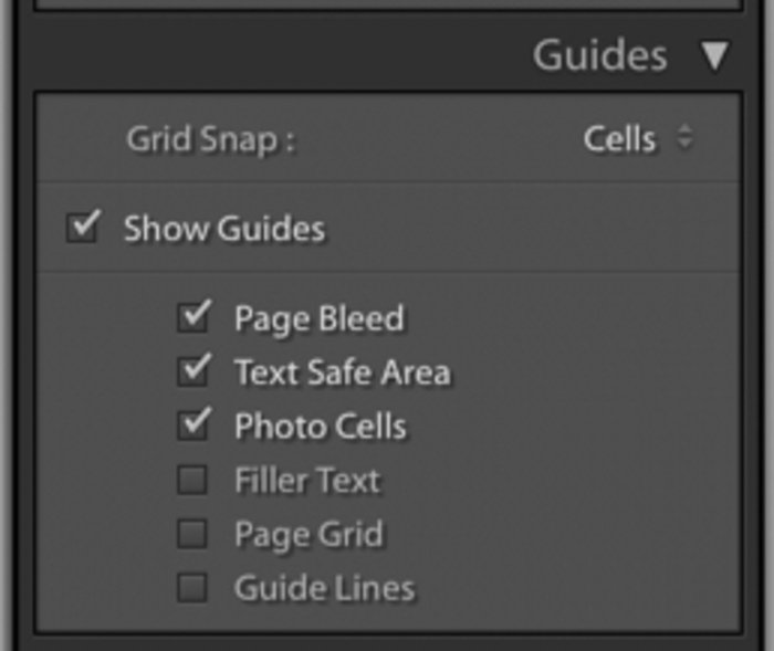 Foto ilustrativa del menú de guías de Lightroom