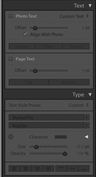 Foto ilustrativa del menú tipo Lightroom