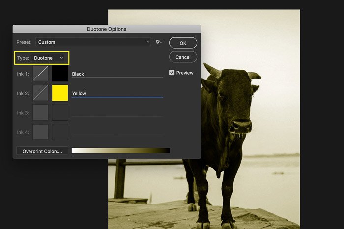 Captura de pantalla de la conversión de una imagen a duotono en Photoshop: modos de color en Photoshop