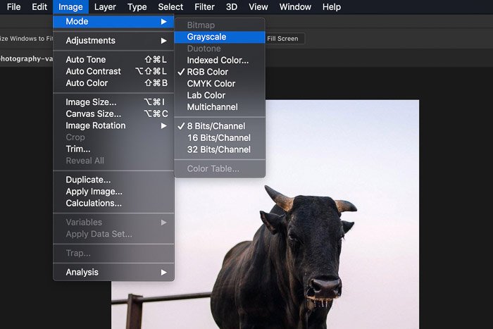 Captura de pantalla de la conversión de una imagen a escala de grises en Photoshop