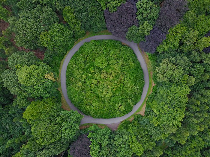Vista de pájaro de una rotonda en el bosque disparada con un dron