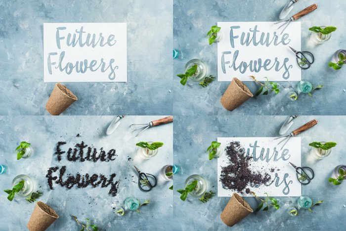 Cuadrícula de 4 ideas de fotografía de naturaleza muerta con el texto 'flores futuras' y varios arreglos de una maceta y flores